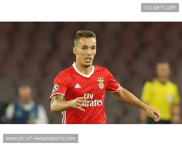 本菲卡积极调整外援引进时间表，稳健铺设未来新星之路