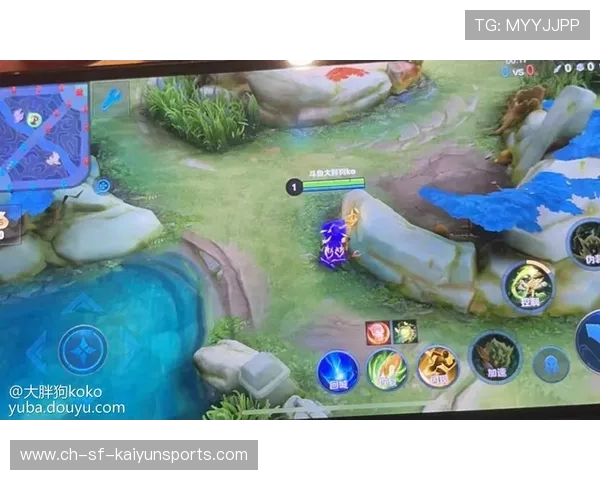 职业比赛中视野反制技巧解析