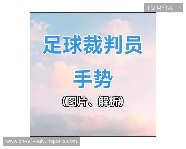 国际足球裁判培训与青年裁判轮换计划,国际足球裁判法 国际足球裁判培训与青年裁判轮换计划,国际足球裁判法
