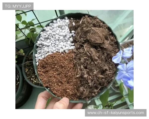 越野跑的泥炭土富含腐殖质,泥炭土作用 越野跑的泥炭土富含腐殖质,泥炭土作用